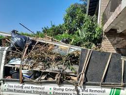 Best Dumpster Rental Services  in New Providence, NJ